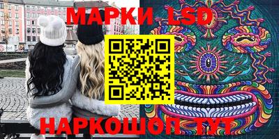 a pvp Новодвинск