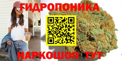 каннабис Новозыбков