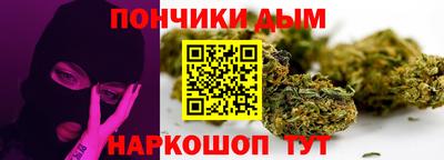 a pvp Новодвинск