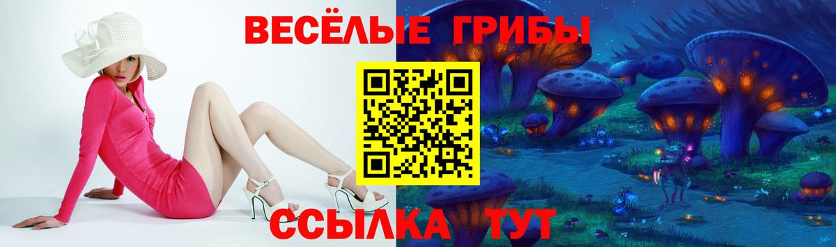 Юрга  Псилоцибиновые грибы Psilocybine cubensis  закладки  Вход с VPN 