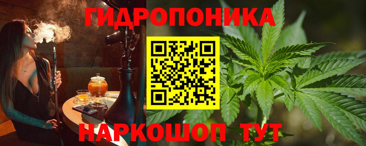 Бошки марихуана план Юрга